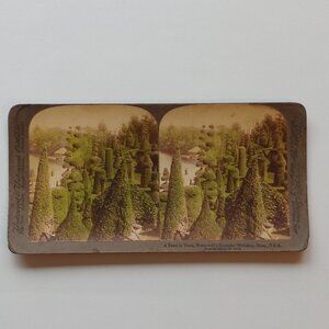 ANTIQUE Stereograph Card "A Poem in Trees" 1894 Underwood and Underwood